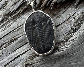 Fossilized Trilobite Sterling-silver pendant