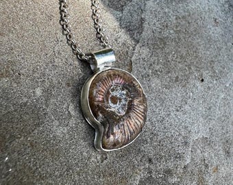 Fossilized Ammonite Sterling-silver pendant