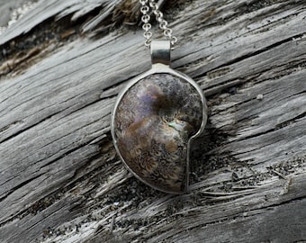 Fossilized Ammonite Sterling-silver pendant