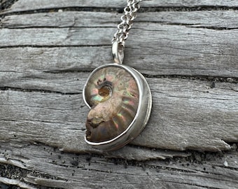 Fossilized Opalized Ammonite Sterling-silver pendant