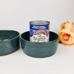 Ceramic Pet Bowl - Floating Green/Blue - Pottery Gift for Pet Lovers - Wheel-thrown Pottery