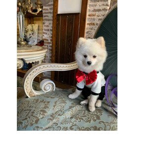 Dog Cat Tuxedo | Dog Wedding Clothes | Black Dog Tuxedo | Small Dog Suit | Puppy Clothes | Dog wedding attire | Dog harness tux