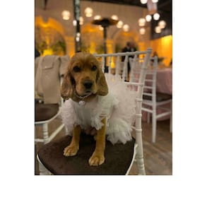 Dog Cat Luxury Wedding Dress + Hair Clip, Cat Dogs Clothes, Dog clothing, Dog Cat outfits