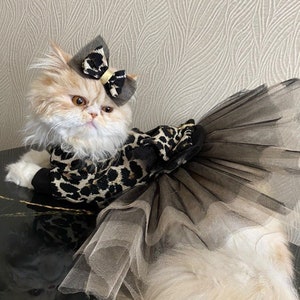 Dog Cat Luxury Leopard Dress + Hair Clip, Cat Dogs Clothes, Dog clothing, Dog Cat outfits
