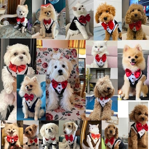 Dog Cat Tuxedo | Dog Wedding Clothes | Black Dog Tuxedo | Small Dog Suit | Puppy Clothes | Dog wedding attire | Dog harness tux