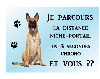 plate beware of the dog malinois metal 29 X 20 rounded corners drilled at the 4 corners ref 89