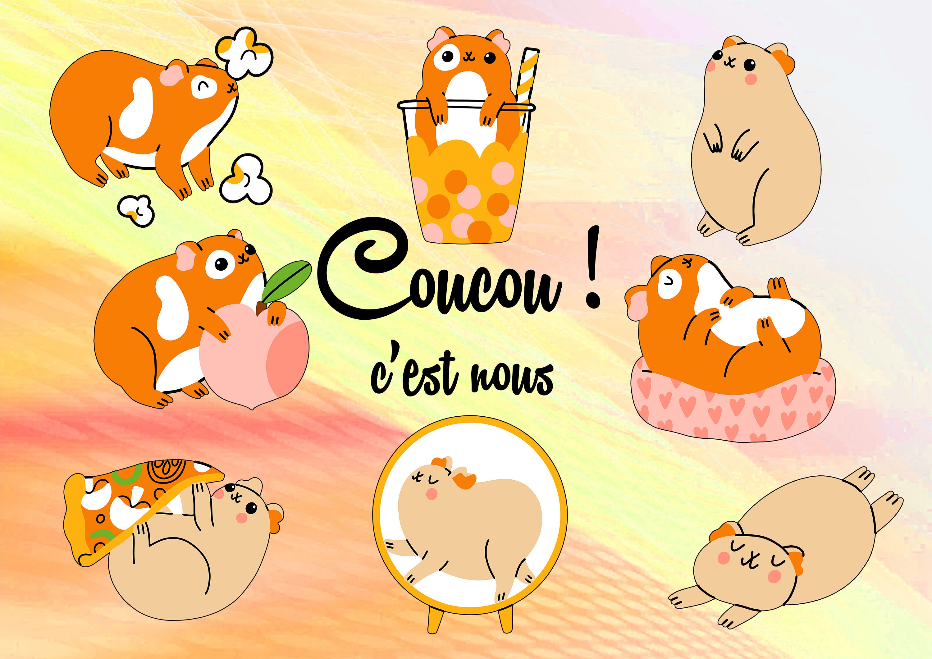 Plaque Cochon d'inde Rigolo en Métal 29 X 20 Angles Arrondis Percée Aux 4 Coins