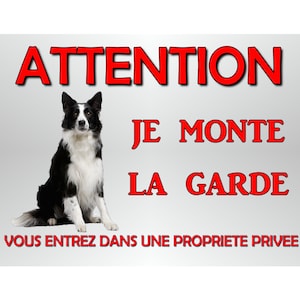 metal plate beware of border collie dog 29 X 20 rounded corners drilled at 4 corners ref 42