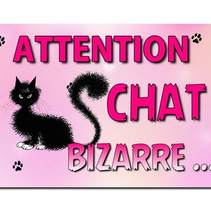 humoristische metalen kattenplaat 29 X 20 afgeronde hoeken doorboord op 4 hoeken ref 05