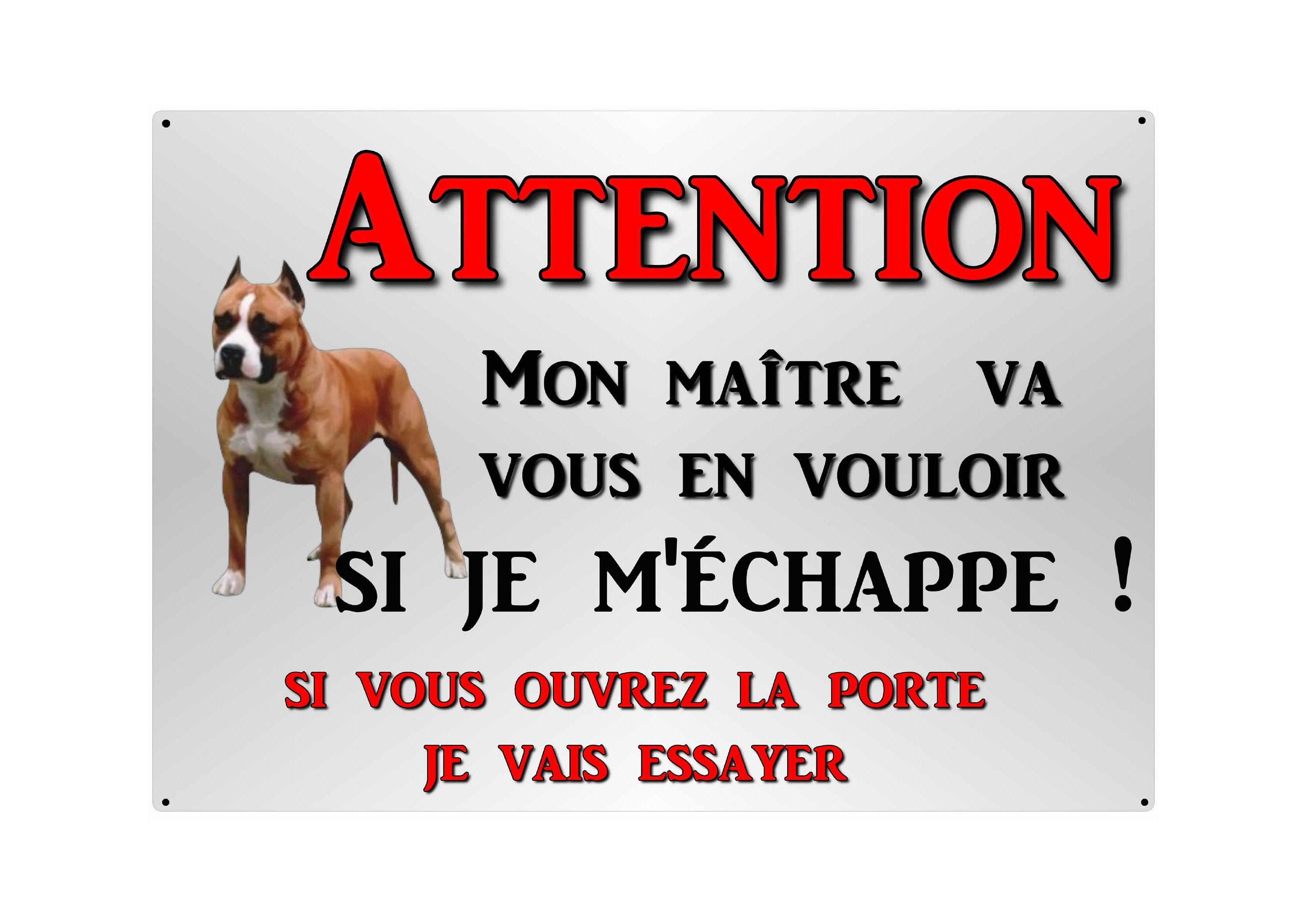 Plaque Attention Chien Fugueur en Métal 29 X 20 Angles Arrondis Percée Aux 4 Coins Réf 19