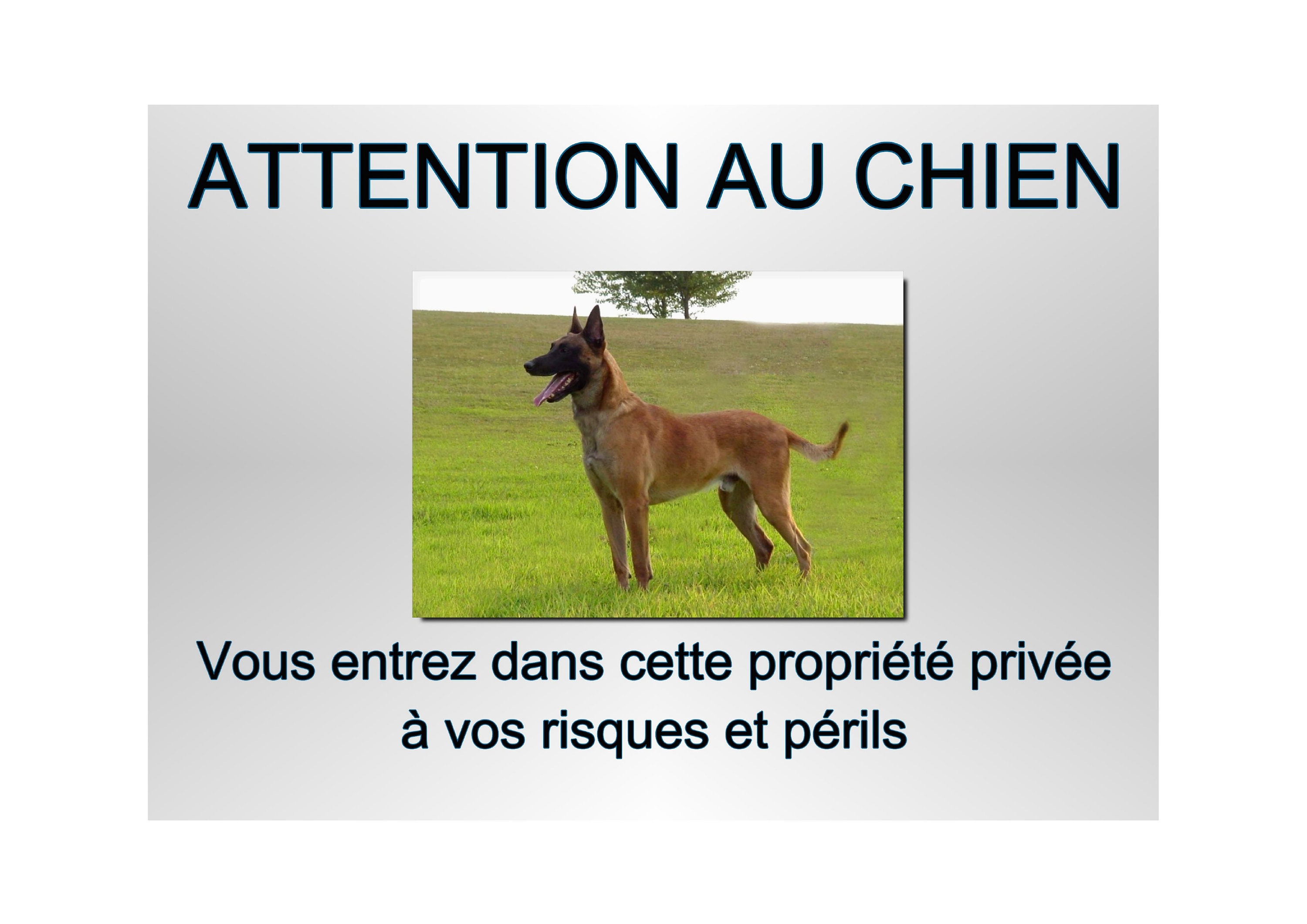 Plaque Attention Chien Malinois en Métal 29 X 20 Angles Arrondis Percée Aux 4 Coins Réf 36