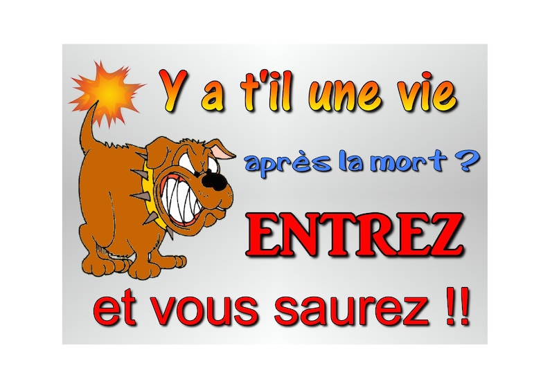 Plaque attention chien humoristique en métal 29 X 20 angles arrondis