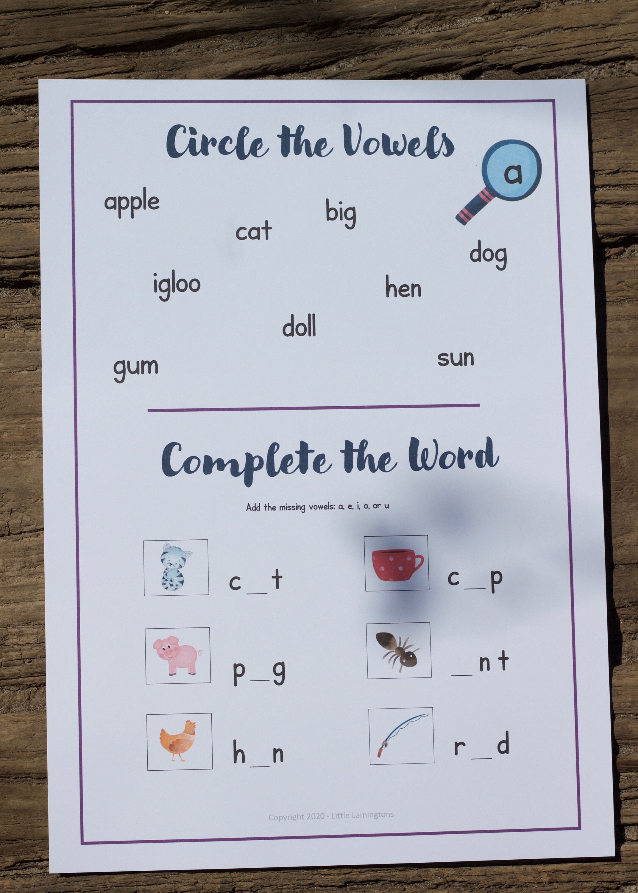 Circle The Vowels Worksheet