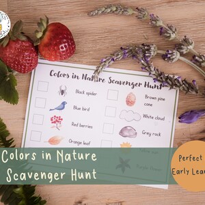 Carta di caccia al tesoro Colors in Nature, colori di apprendimento, gioco di attività avventurose all'aperto per principianti - Download stampabile istantaneo