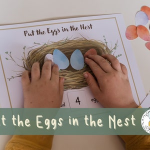 Put the Eggs in the Nest - Counting to 10 Fun Hands-On Activity for Early Learners - Learning to Count for Toddlers, Preschool, Kindergarten