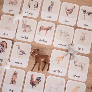 May include: Farm animal flashcards with watercolor illustrations and animal figurines. Cards include pig, horse, cat, hen, cow, duck, rabbit, donkey, mouse, lamb, turkey, goose, duckling, sheep, bee, and dog.