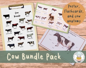 Cow Breed Flashcards, Poster, and Anatomy of a Dairy Cow Mini-Bundle - Learning about Farm Animal Mini Activity Pack for Early Elementary