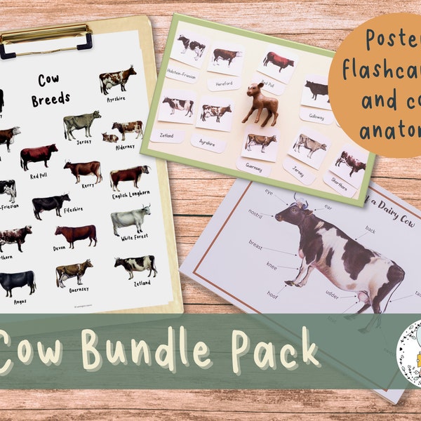 Cow Breed Flashcards, Poster, and Anatomy of a Dairy Cow Mini-Bundle - Learning about Farm Animal Mini Activity Pack for Early Elementary