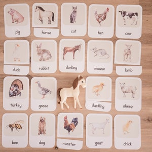 May include: Educational flashcards featuring watercolor illustrations of farm animals, including a pig, horse, cat, hen, and cow. Each card has the animal's name printed below. A plastic toy horse is also present.