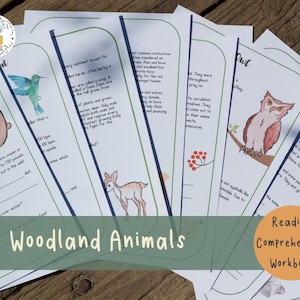 Reading Comprehension Workbook | Woodland Animals | Learning Activity with own Research Element for Middle Elementary/Primary | PDF Download