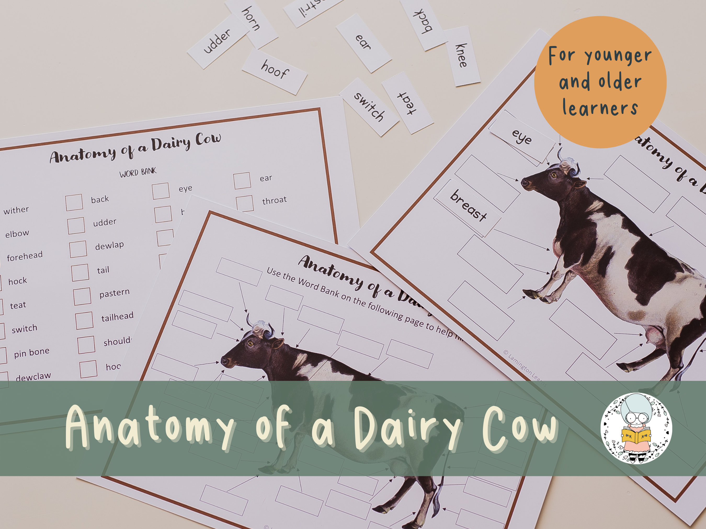 Anatomy Of A Dairy Cow Label The Diagram Fill In The Blanks For Younger 
