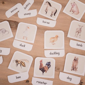 May include: Educational flashcards featuring watercolor illustrations of farm animals, including a horse, pig, and duckling. Each card has a matching word label, such as "horse" and "duckling", for learning and matching activities.