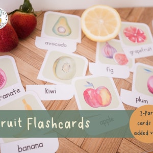 Apprentissage des fruits | 21 cartes de fruits à l'aquarelle | Cartes flash en trois parties | Montessori, Nomenclature, Apprentissage Préscolaire | Téléchargement PDF