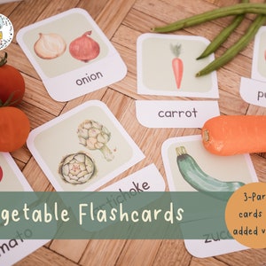 Apprendimento delle verdure / 20 carte con frutta ad acquerello / Schede flash in tre parti / Montessori, nomenclatura, apprendimento in età prescolare / Download PDF