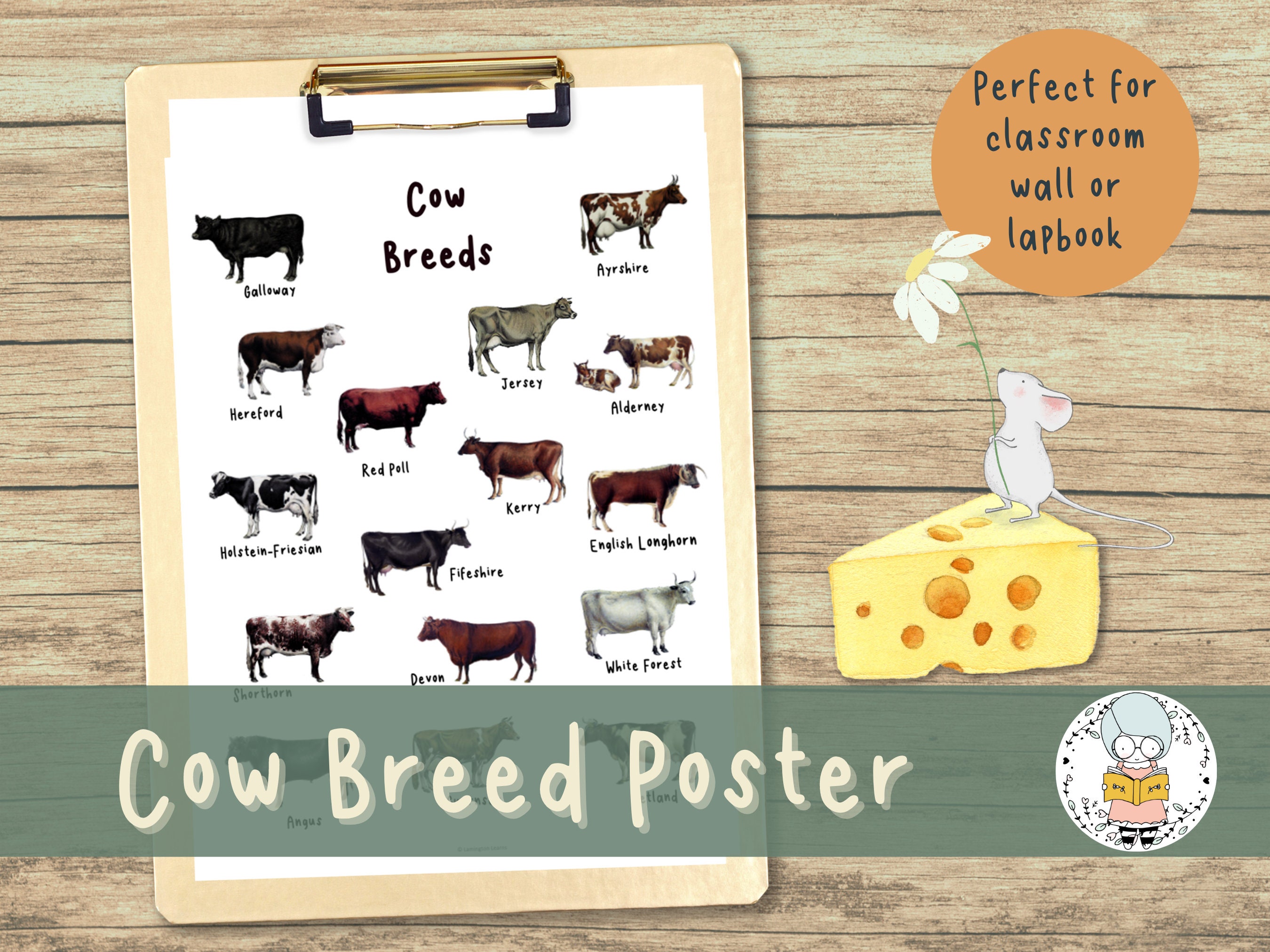 Cow Breed Handout - Wall Poster or Lapbook Handout for Homeschoolers - Learning About Farm Animals