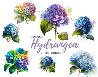 Hydrangea Art, Watercolor Hydrangea Clipart, Watercolor Hydrangea, Hydrangea Clipart, Floral Art - PNG, Instant Download, Commercial Use