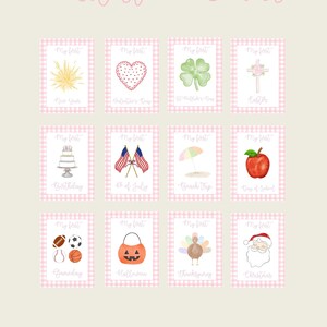 Printed or Digital Seasonal Milestone Cards, Baby Milestone Cards, Watercolor Milestone Card, Pink Gingham Milestone Cards