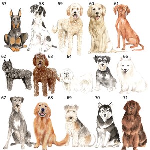 以下が含まれることがあります： 15種類の異なる犬種のデジタルペイント。犬はすべてさまざまなポーズで、水彩画のスタイルで描かれています。犬はすべて白、茶色、黒、または灰色です。