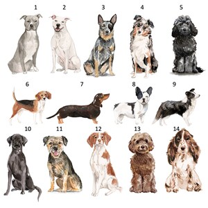 以下が含まれることがあります： 14種類の犬種の水彩画のイラスト集。犬はすべて座ったり立ったりと様々なポーズをとっています。イラストは1から14まで番号が付けられています。