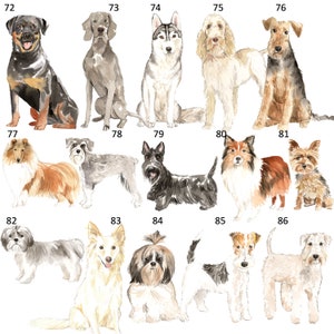 以下が含まれることがあります： 水彩画のスタイルで描かれた14種類の異なる犬種のデジタルイラスト。犬はすべて正面を向いており、7匹ずつ2列に並んでいます。犬はすべて異なる色と品種で、ロットワイラー、ハスキー、シュナウザー、ヨークシャーテリアなどがあります。