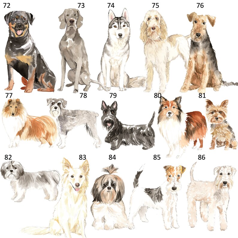 以下が含まれることがあります： 水彩画のスタイルで描かれた14種類の異なる犬種のデジタルイラスト。犬はすべて正面を向いており、7匹ずつ2列に並んでいます。犬はすべて異なる色と品種で、ロットワイラー、ハスキー、シュナウザー、ヨークシャーテリアなどがあります。