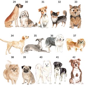 以下が含まれることがあります： 29から42までの番号が付けられた、14種類の異なる犬種の水彩画イラスト。犬は座っている、立っている、横になっているなど、さまざまなポーズで描かれています。イラストは、毛並み、目、表情など、細部にまでこだわった写実的なスタイルで描かれています。