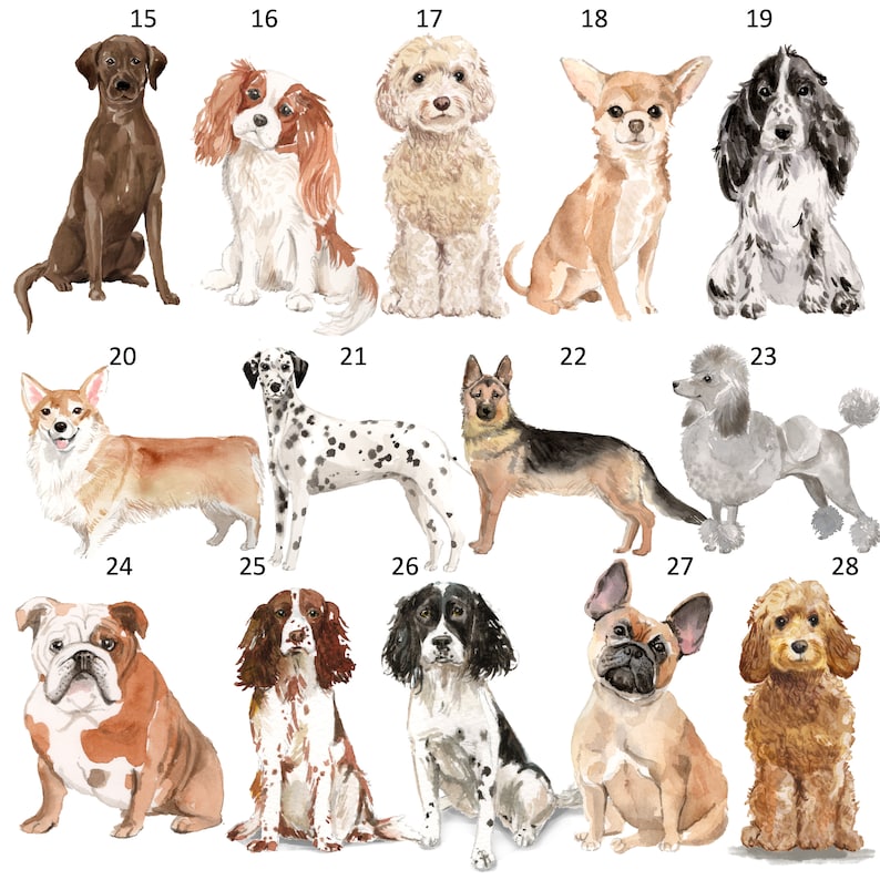 以下が含まれることがあります： 水彩画のスタイルで描かれた13種類の犬のデジタルイラスト。犬は15から28まで番号が付けられています。品種には、ラブラドールレトリバー、キャバリアーキングチャールズスパニエル、プードル、チワワ、コッカースパニエル、コーギー、ダルメシアン、ジャーマンシェパード、プードル、フレンチブルドッグ、ブルドッグが含まれます。