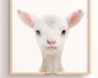 Lamb Nursery Print, Baby Farm Animal, Farmhouse Decor, Printable Digital Download, Kids Room Decor, Farm Bedroom Poster, Sheep Wall Art
