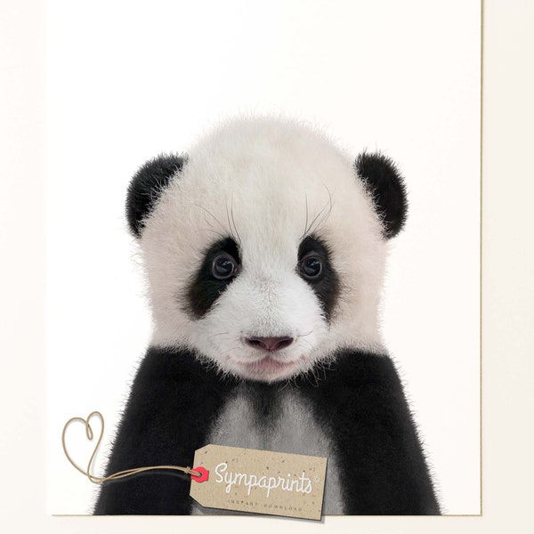 Stampa Panda Arte del vivaio Panda, animale da vivaio Poster dell'orso panda bambino, arredamento artistico degli animali del bosco per la camera dei bambini, download digitale
