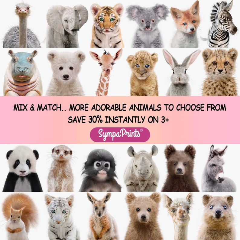 Baby Animals Print Nursery Wall Art Nursery Animal Art Prints For Kids Printable Poster Australian Animals Art Set Of 3 Instant Download Prints Art Collectibles Seasonalliving Com Baby Animals Print Nursery Wall Art Nursery Animal Art Prints For Kids Printable Poster Australian Animals Art Set Of 3 Instant Download Prints Art Collectibles Seasonalliving Com