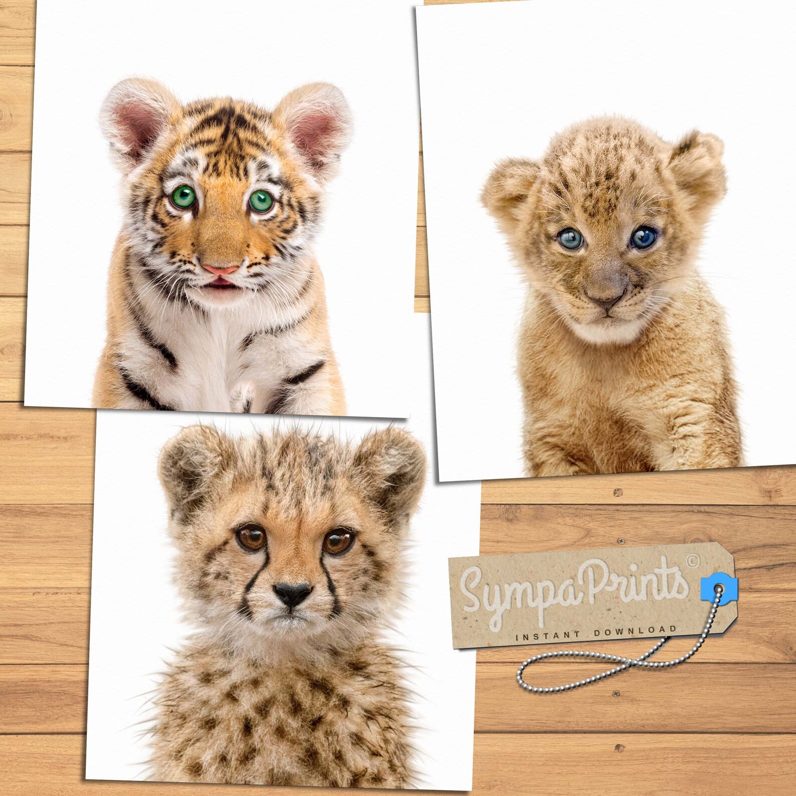 Baby Safari Print Baby animal print cute Animal Poster Etsy