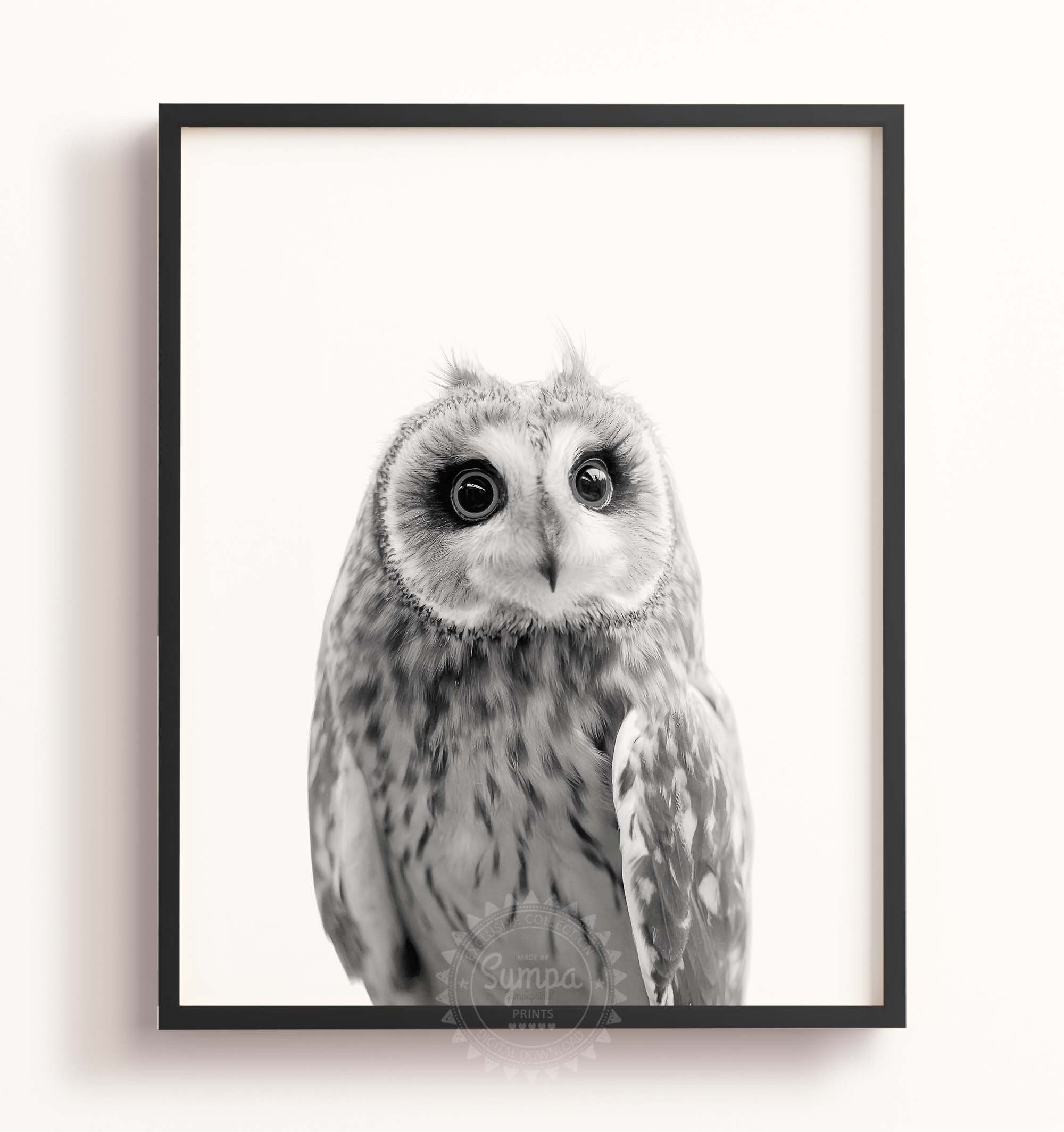 Owl print Forest animal print, Woodland wall art Nursery animal decor, baby Animal Print Owl Poster 