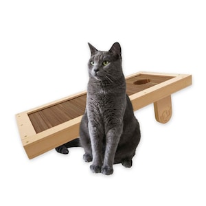 Kitty Kornhole - Rascador ecológico para gatos - Rascador sostenible, rascador de cartón reciclado, tablero para rascar, juego de cornhole