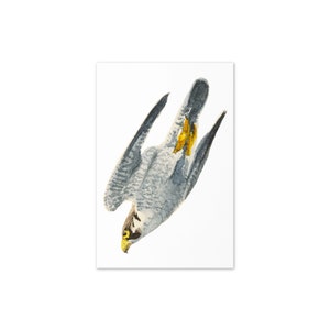 Anpassbare Vogel-Geburtstags-Karte, Grußkarte, Karte für jedes Ereignis, mit Original-Aquarell-Vogel-Malerei-Druck-Design