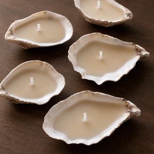 May include: Five oyster shell candles with beige wax and white wicks. The shells have a natural, textured appearance and are arranged on a dark brown wooden surface. These decorative candles add a coastal touch.