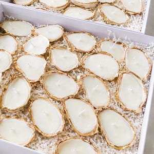 May include: Two white boxes filled with oyster shell-shaped candles. Each candle has a gold-colored rim and a white wax interior. The boxes are filled with white paper filler, creating a luxurious presentation.