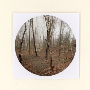 Foggy Woods Portland Head Light Durable Vinyl Sticker
