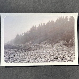 Maine Sticker 9 (Quoddy Head State Park)