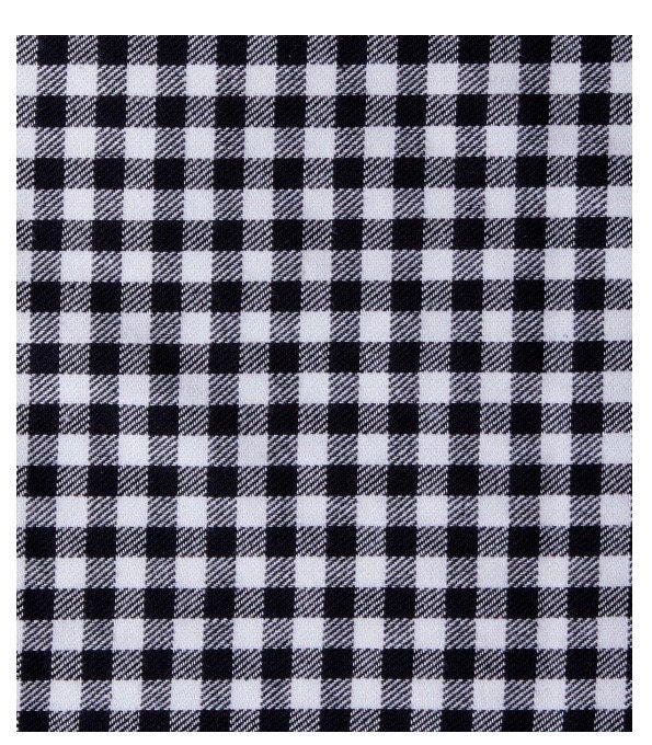 Eddie Bauer Black Gingham Check Yarn-Dyed Cotton Fabric