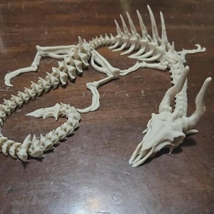 May include: An off-white, articulated skeletal figure resembling a mythical creature. The structure features a detailed skull with two prominent horns, a long segmented spine, a series of dorsal spikes, and four limbs with clawed feet.